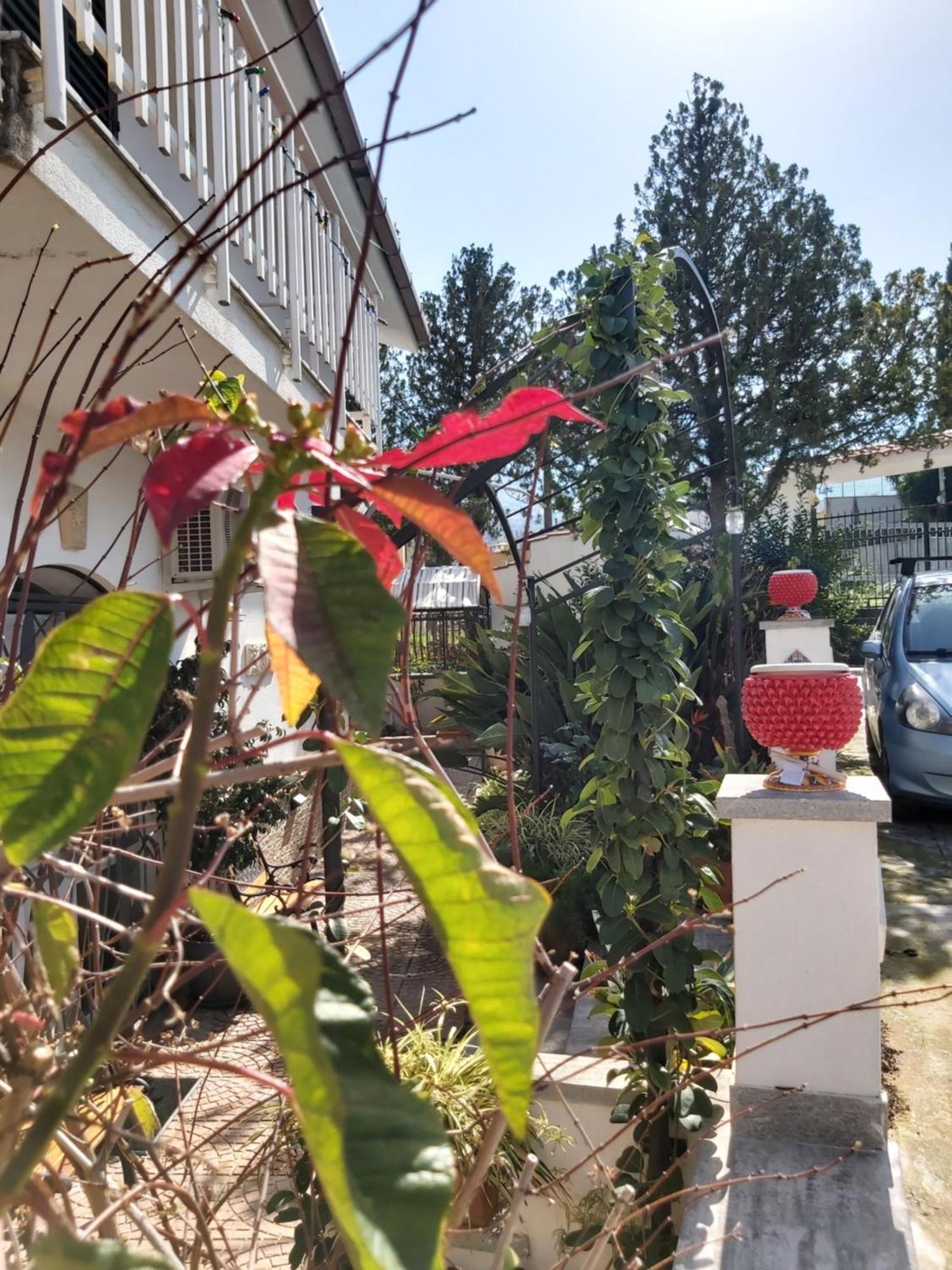 Villa La Perla Della Conca D'Oro Palermo Exterior foto